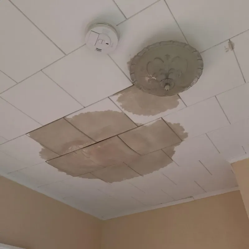 Ceiling Water Damage Repair in Louisville, TN