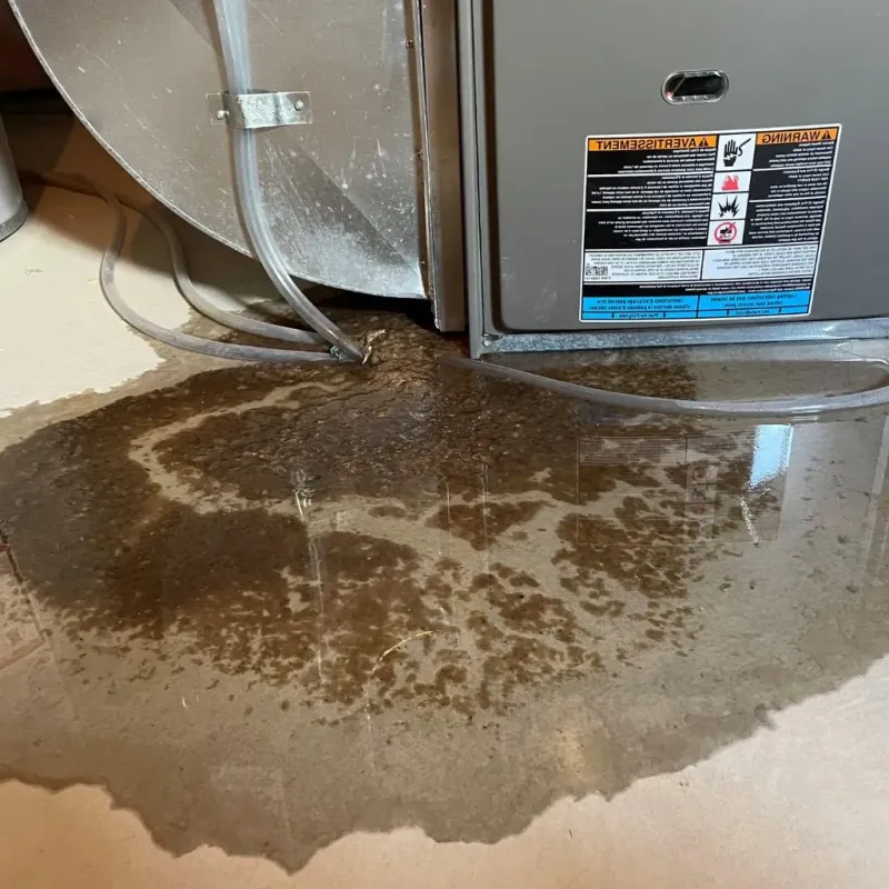 Pipe Burst and Leak Restoration in Louisville, TN