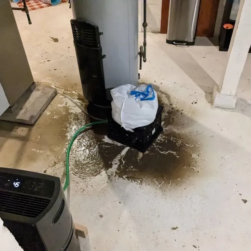 Sewage Backup Cleanup Service in Louisville, TN